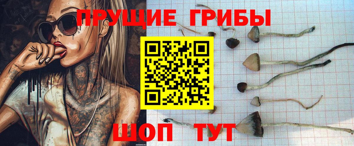 Псилоцибиновые грибы мицелий Ангарск